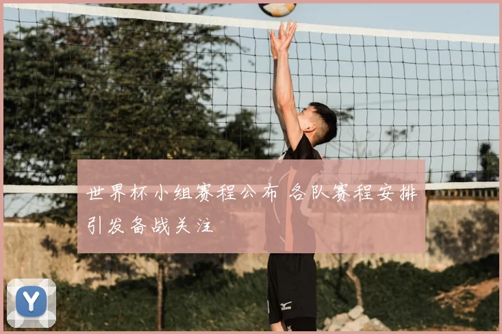 世界杯小组赛程公布 各队赛程安排引发备战关注