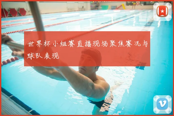 世界杯小组赛直播现场聚焦赛况与球队表现